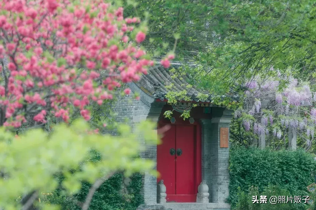 中国最美6所大学，镜头下的它们，不出意外的好看