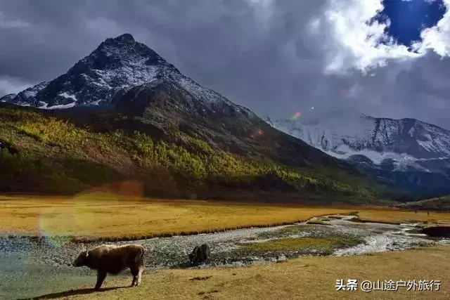 稻城亚丁在哪个省（稻城亚丁景点的全攻略）