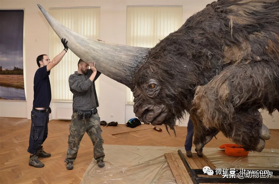 10种曾与人类同行的巨型野兽
