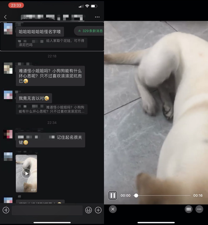 对于视障者来说，我们常用的这些 App 可能并不友好