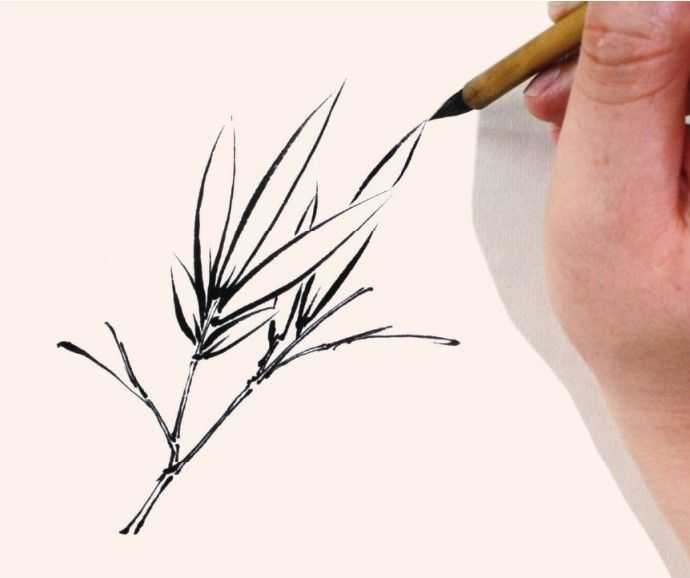 竹子表现技法：怎么样双勾法画竹子，分步骤讲解画法，简单易学！
