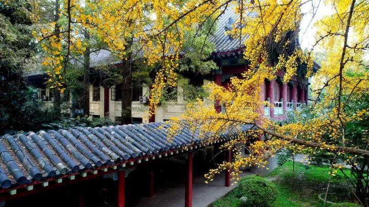 神仙颜值！坐拥