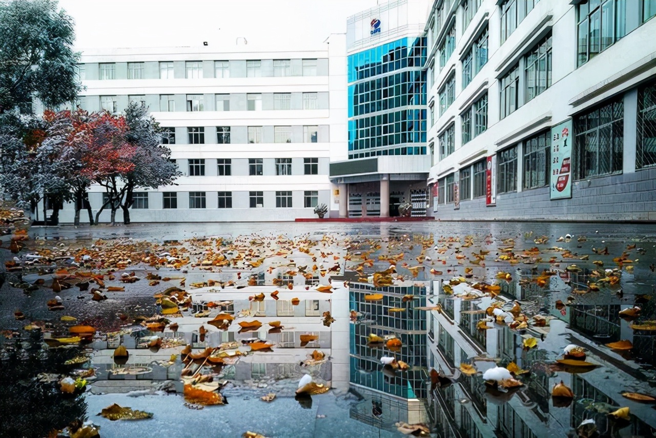 青海省前三甲中学，低进高出，本科线上线率达90%，值得考虑