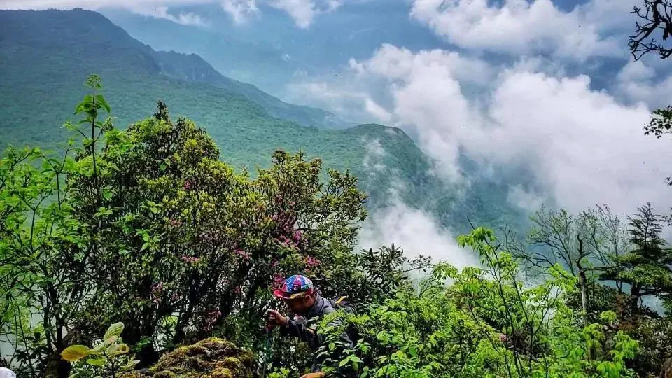 不收门票的世界级风景！赏万亩夏花、观云海日出…成都2天耍来回