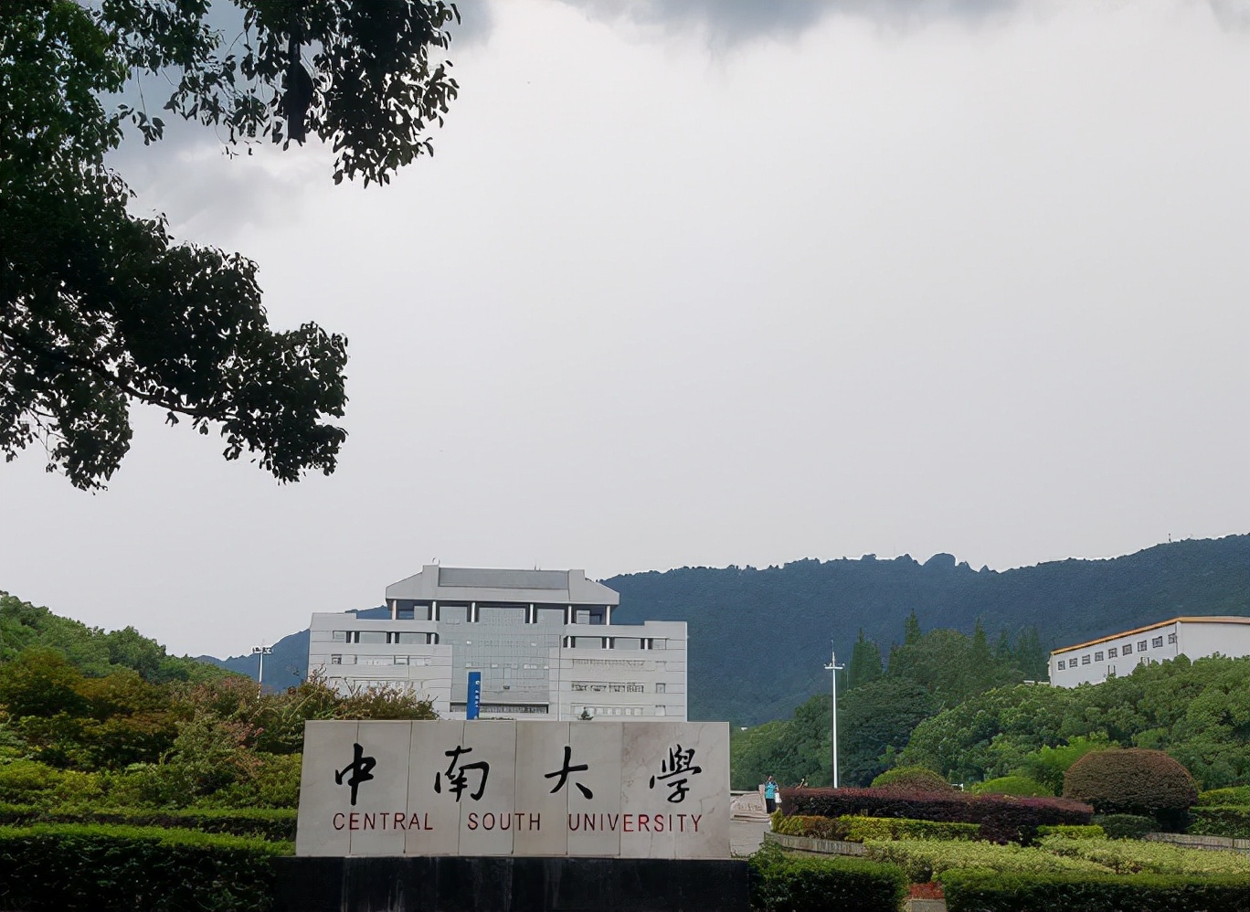 985名校宿舍被“嫌弃”，环境又破又差，新生看完不太想住了