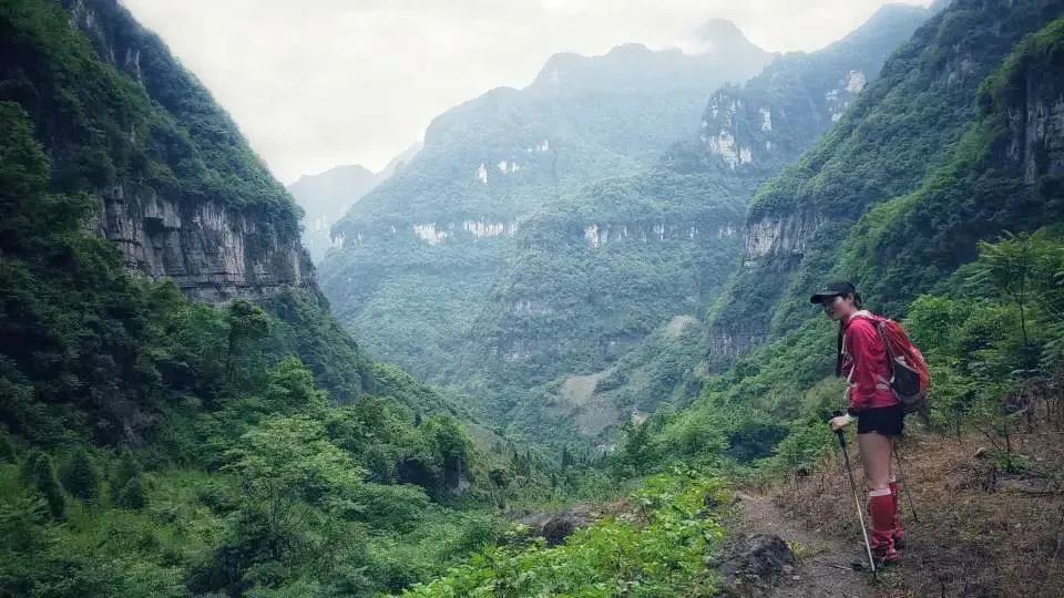 不收门票的世界级风景！赏万亩夏花、观云海日出…成都2天耍来回