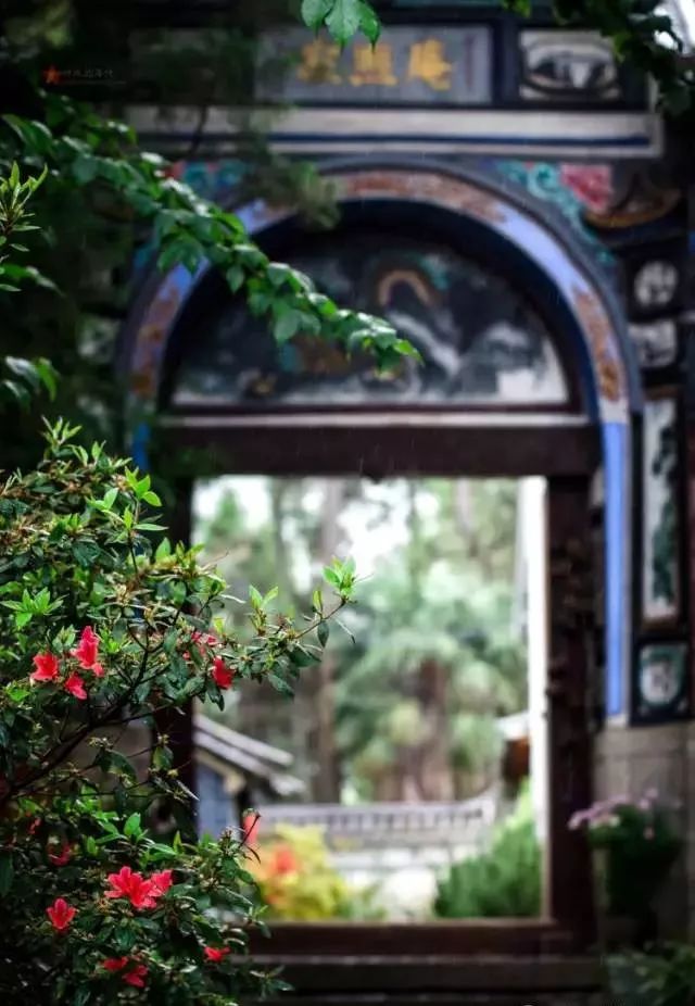 中国最文艺尼姑庵，不烧香只种花，美得想出家！韩红也慕名来参访