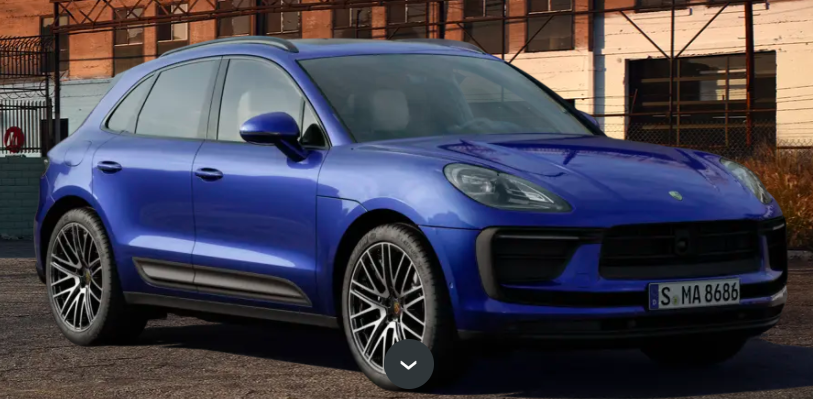 《牛角包一样的会计》：财务专家的投资手记，深受投资新手欢迎