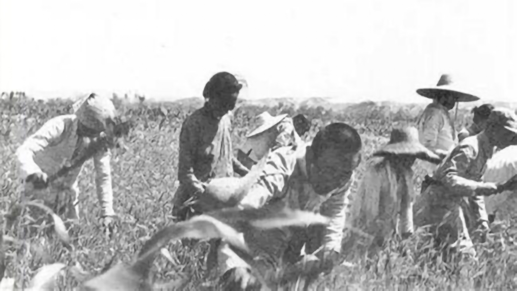 当年发生了什么事？让邓小平说出“如果再不改，简直就是自杀”