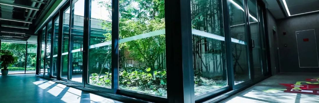 魔都上海这些年，适合翻拍流星花园的私立学校：颜值高，学生棒！