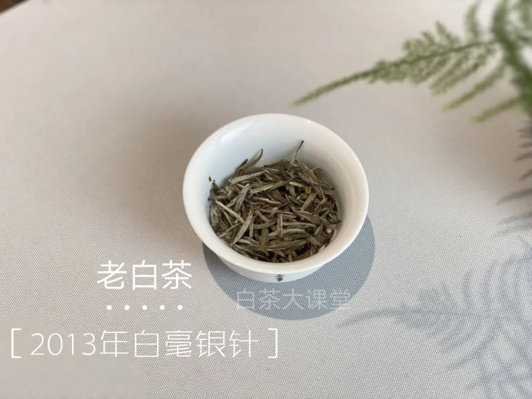 100元一斤的白毫银针,你买吗?看名气买白茶的风气何时能止?