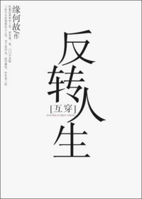 10本高甜言情宠文，虐狗撒糖小说，冬至、君子有九思、龙阙巨好看