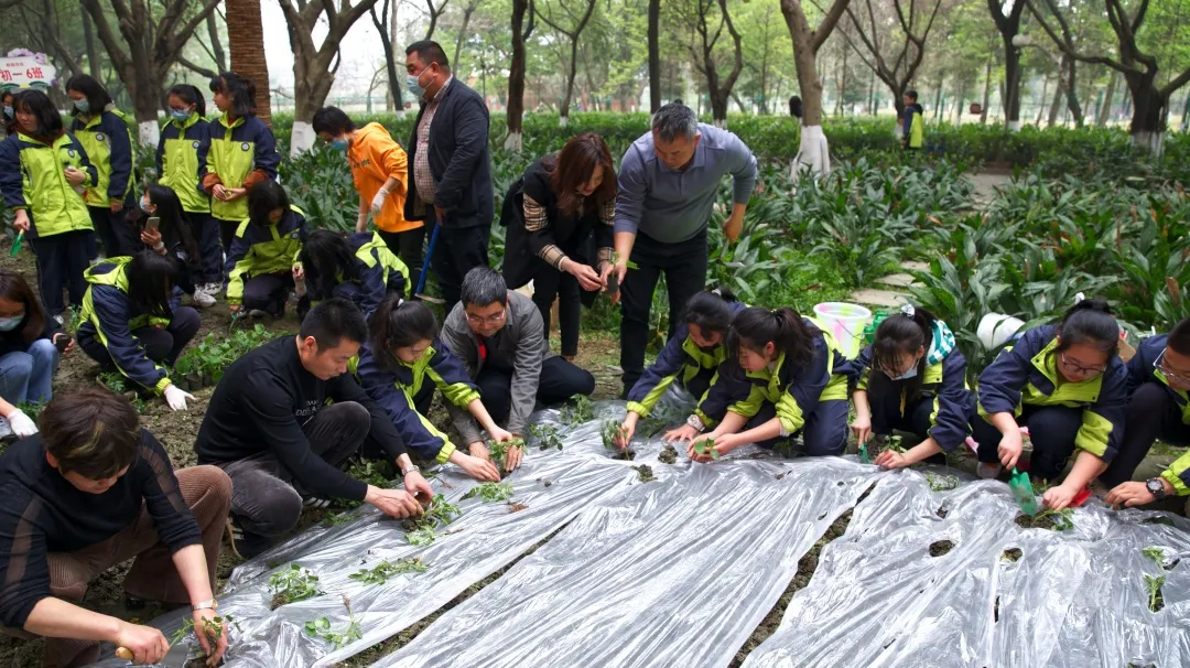 速来围观！三原外国语学校中学部&小学部2021年招生简章新鲜出炉