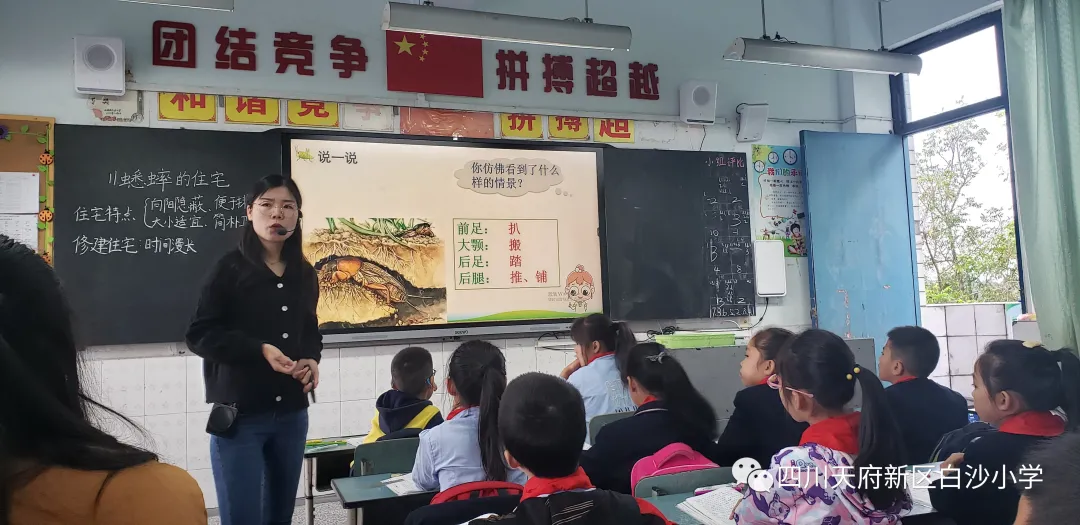 以教研为平台 促进教师专业发展——白沙小学语文教研组展示活动