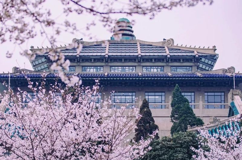 国内那些风景如画的大学，上学好似“度假”，书香与美景并存