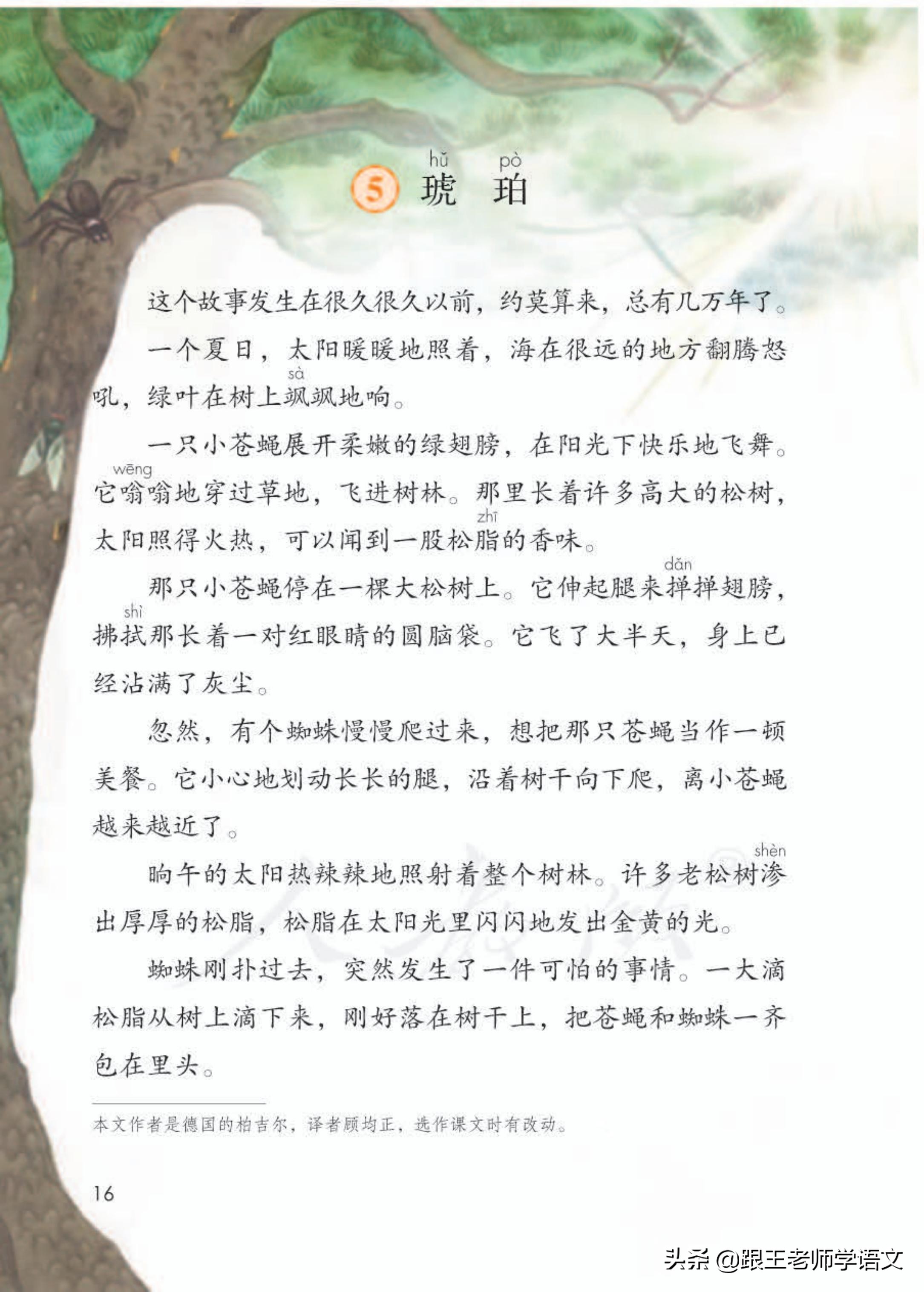 琥珀的读音及部编版四年级下册语文第五课学习要点解析