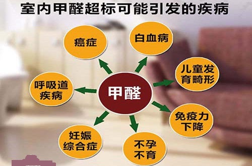 东莞新房装修除甲醛服务，快速高效，守护家人健康