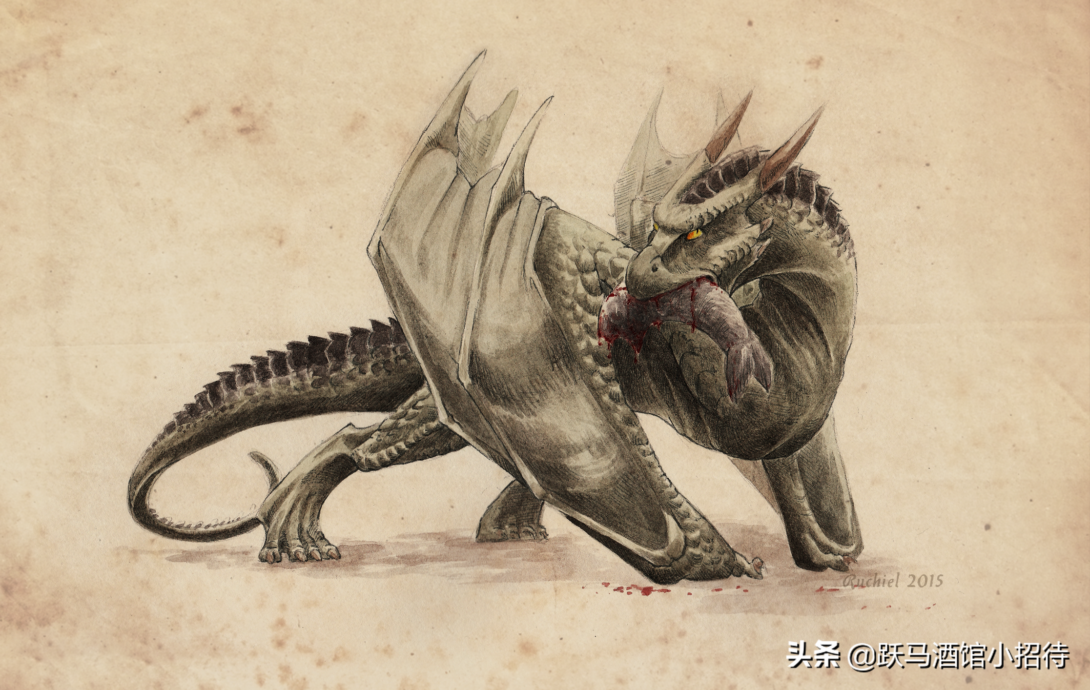 给麻瓜的《神奇动物百科》，魔法世界的动物到底有多神奇（长文）