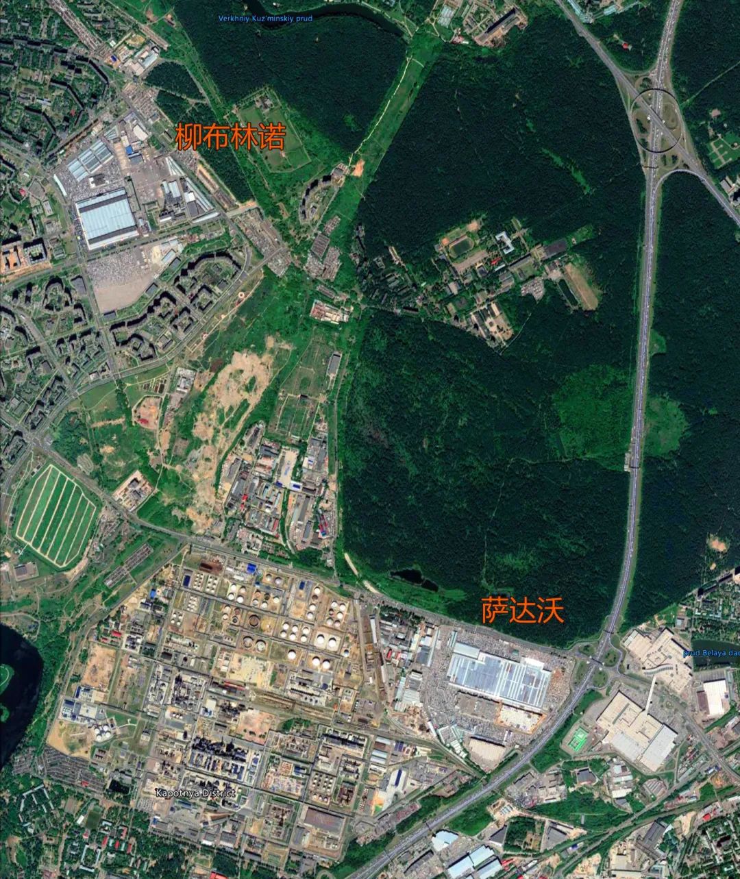 唐驳虎：普京都差点中招，俄罗斯能对付疫情吗？