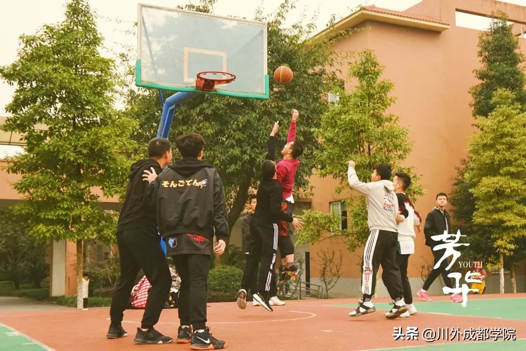 复刻电影画面！快夸四川外国语大学成都学院的这波神操作