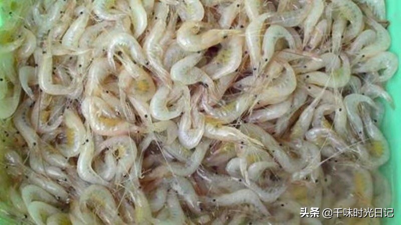 赶潍坊农村大集买白米虾，不知是河虾还是海虾