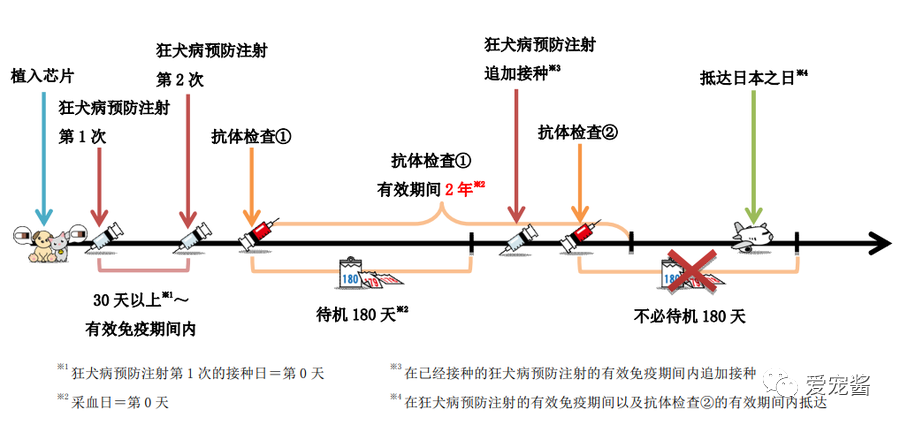 自家猫咪需要打狂犬针吗？