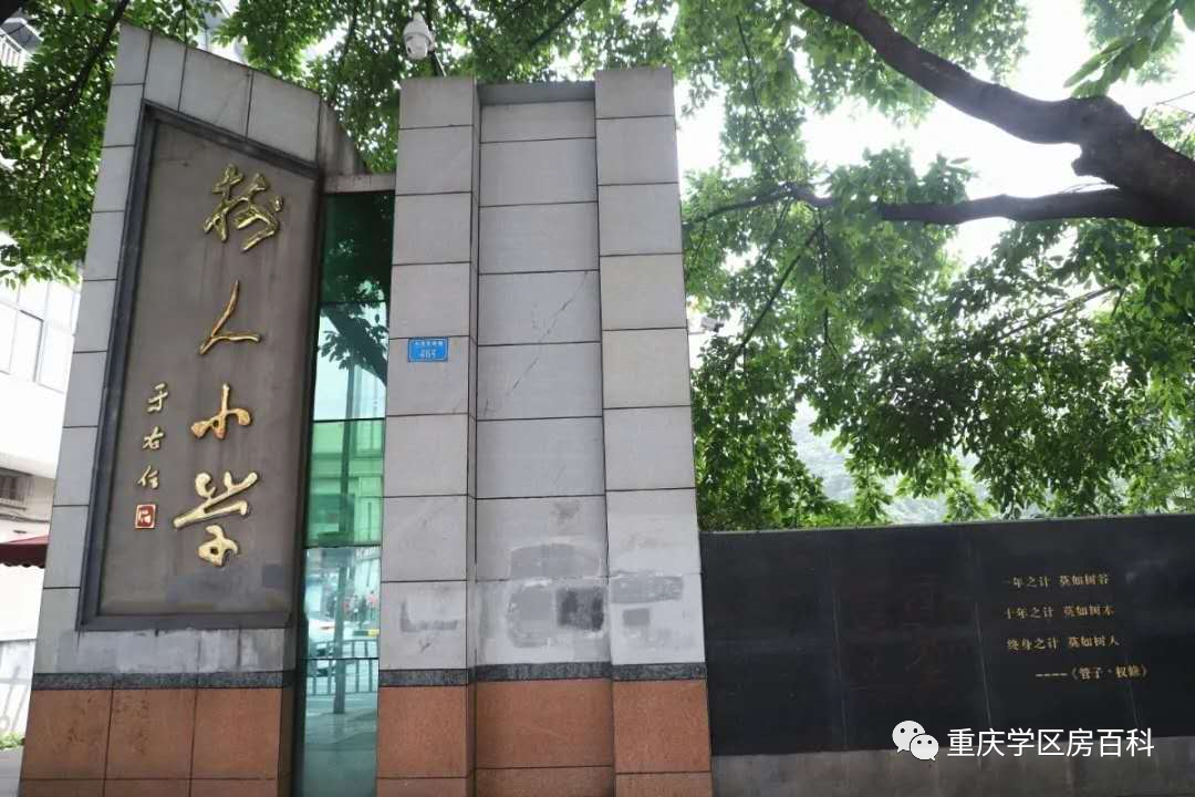 浙江树人大学学费（树人小学到底有多少分校）