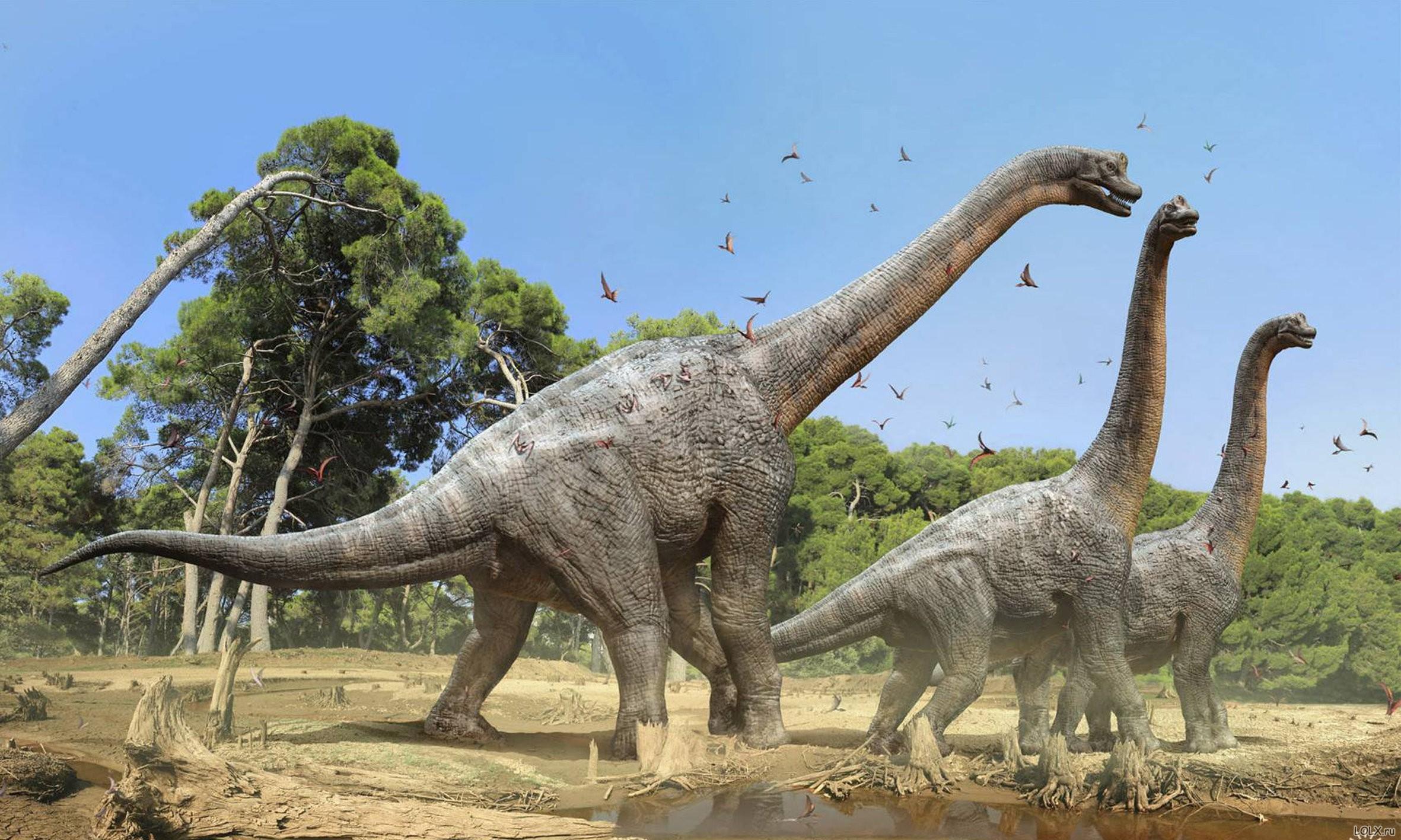 为什么恐龙那么大，它们是如何进化的，而现在的动物却这么小呢？