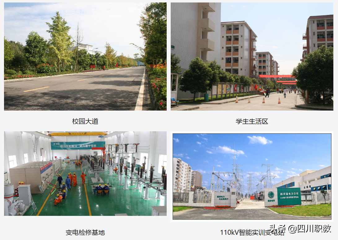 毕业就进国家电网，四川一所高校的就业公告出炉，让人羡慕不已！