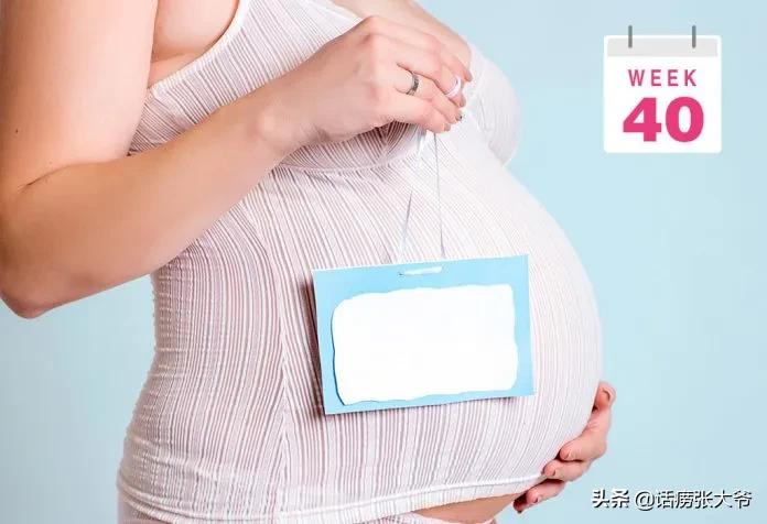 1至40周胎儿发育过程图