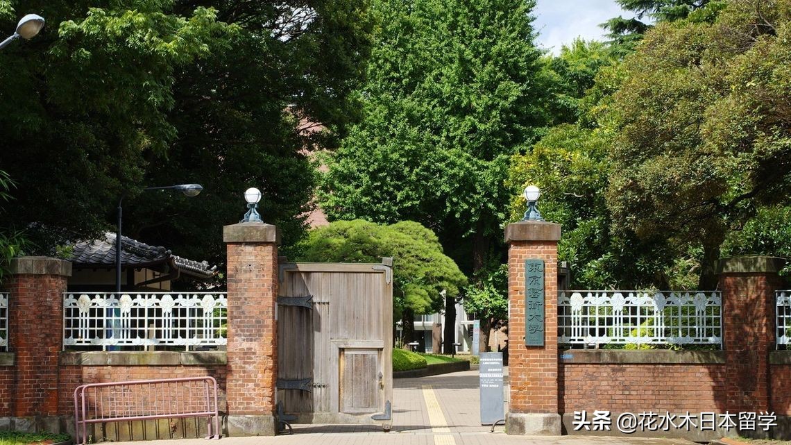 多摩美术大学世界排名（日本美术类大学排名）