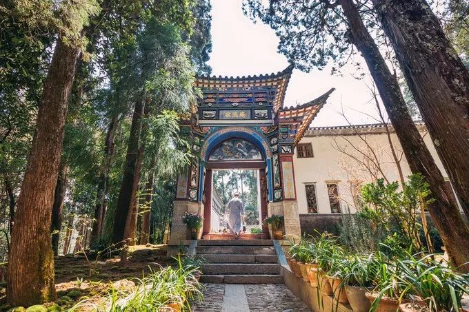 中国最文艺尼姑庵，不烧香只种花，美得想出家！韩红也慕名来参访