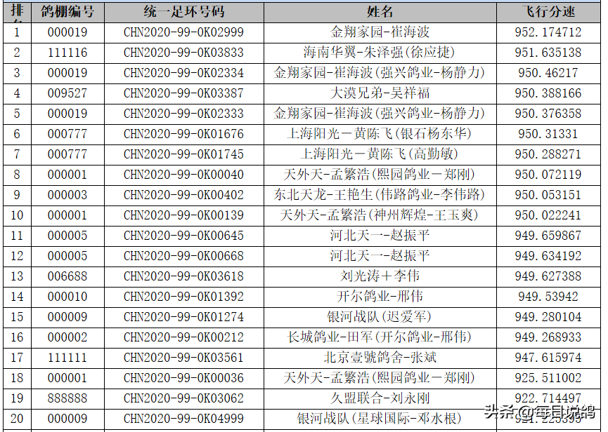 唐山阳光寄养棚世界杯(劳斯莱斯、宾利，赢得唐山阳光综合鸽王冠军，仅10枚环)