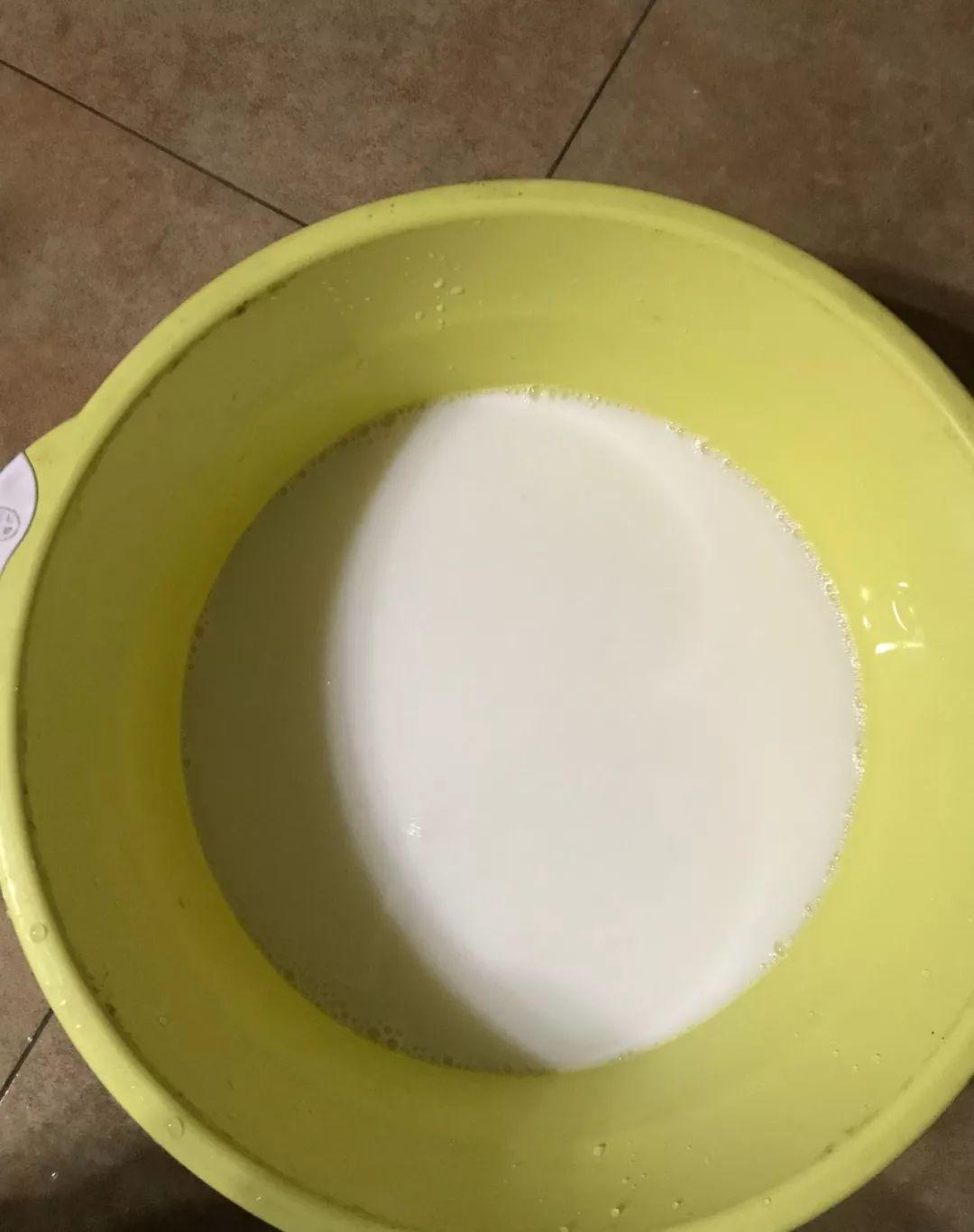 盆里倒一瓶牛奶，虫子全赶跑，叶子油绿发亮还茂盛！