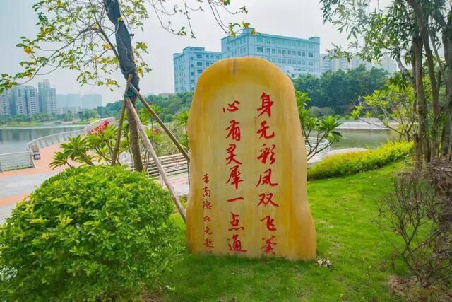 深圳十大免费特色的湖泊公园