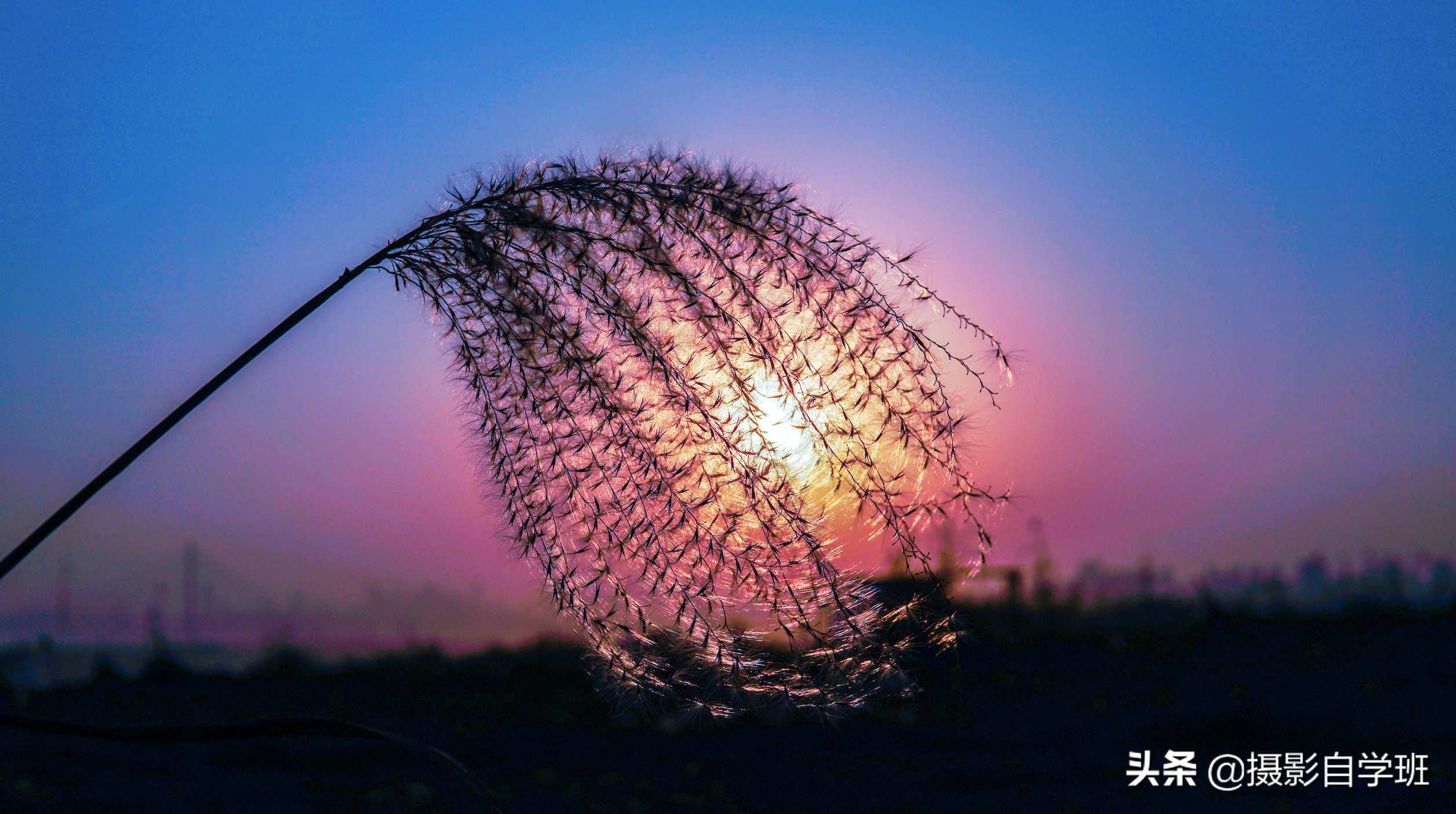 那些漂亮照片,都是咋拍的?这4个光影摄影技巧,帮你搞定