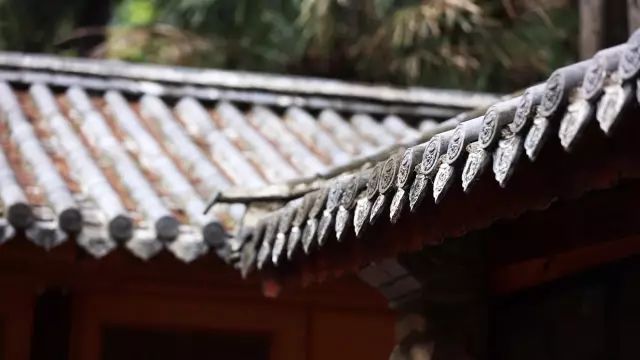 中国最文艺尼姑庵，不烧香只种花，美得想出家！韩红也慕名来参访