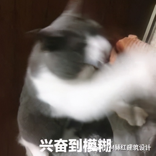 办公室装修设计流程与进度安排全解析