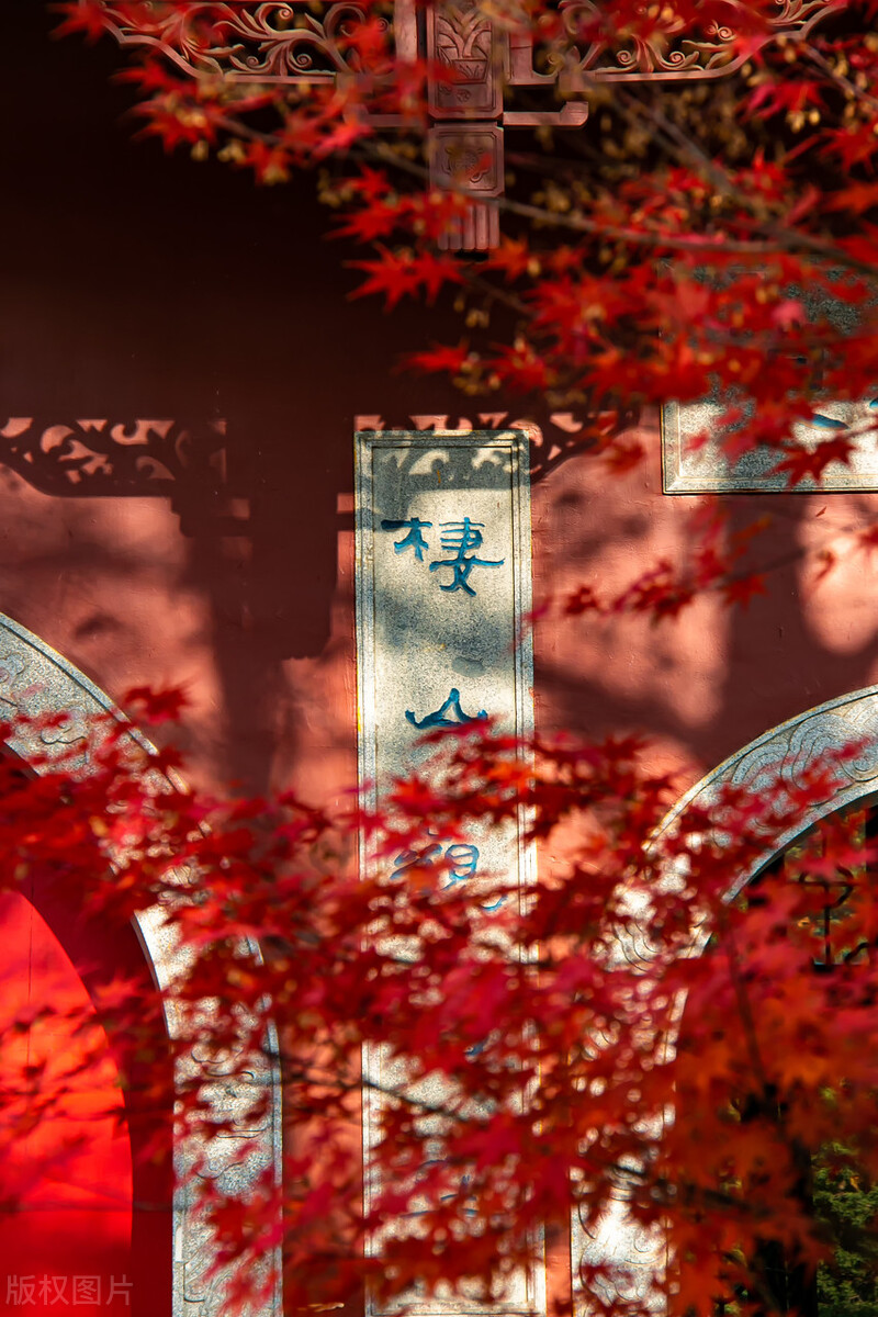 一見南京誤終身！忽然，想去金陵了