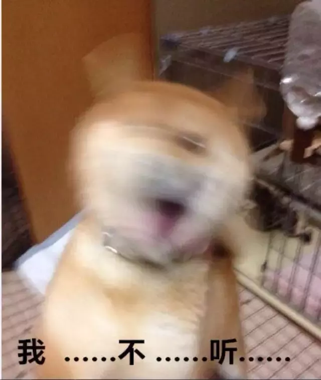 “老九门”是哪九门,你真的知道吗?
