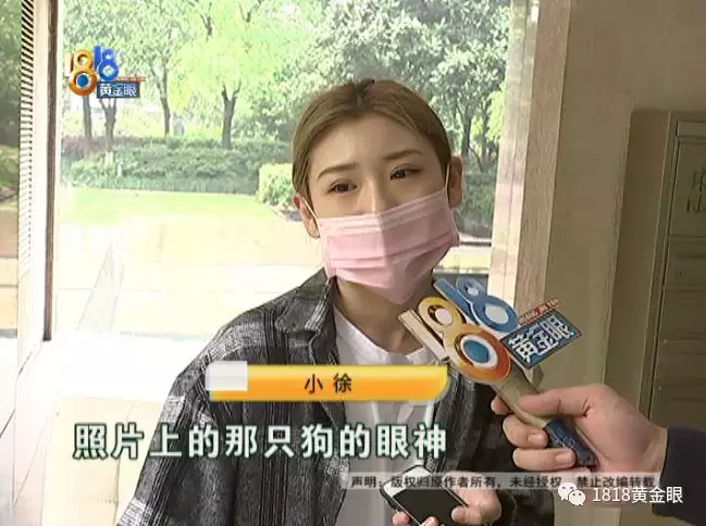 买了公狗收到母狗,卖家说这是“缘分”?