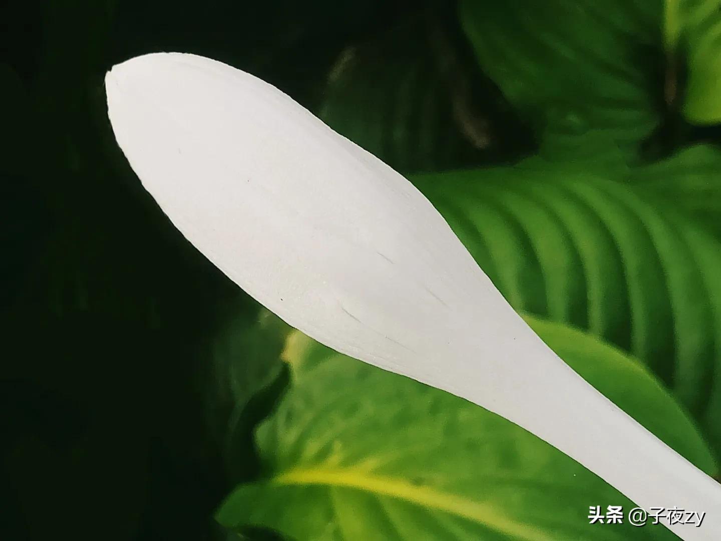 如何搞好平台创作赢得爆文