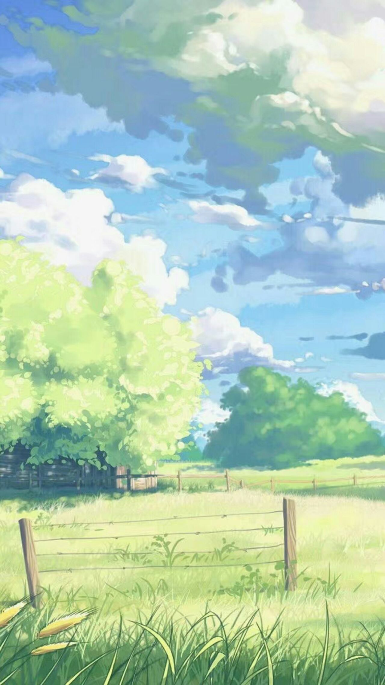 qq空间背影图片动漫(动漫壁纸) - 赤虎壹号