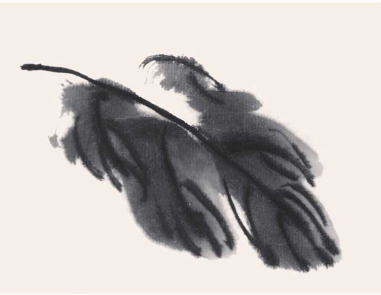 国画知识：常见的五种叶子画法步骤图解，简单易学，小白也能学会