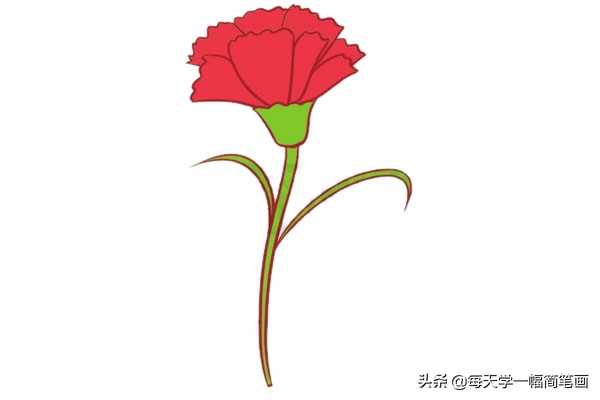 每天学一幅简笔画--母亲节送给妈妈的康乃馨简笔画