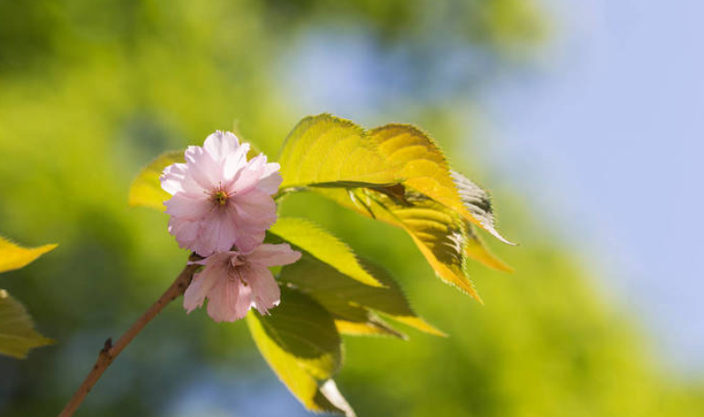 如果你爱上了一个有家庭的男人，要学会如此做
