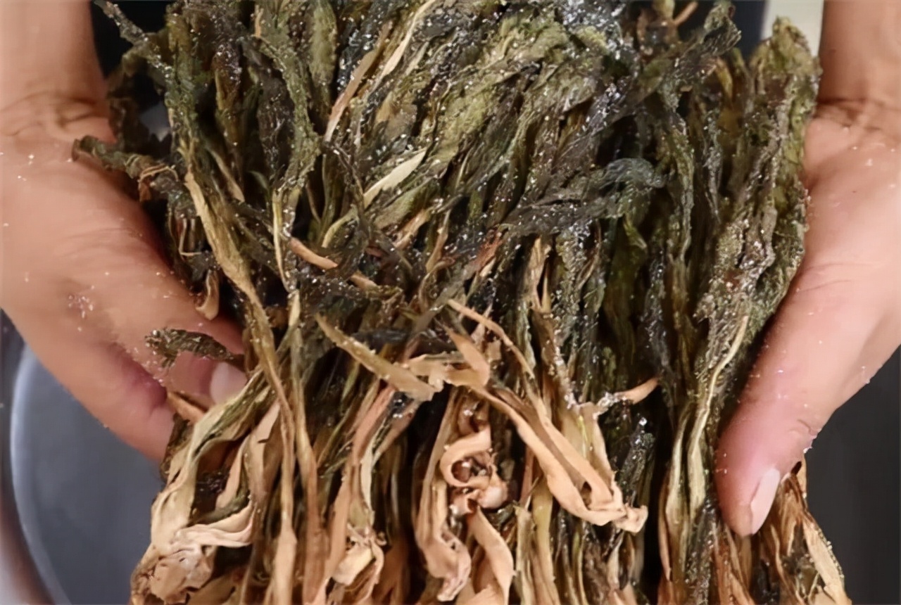 家庭制作梅干菜的方法手把手详细教你味浓色正的梅干菜