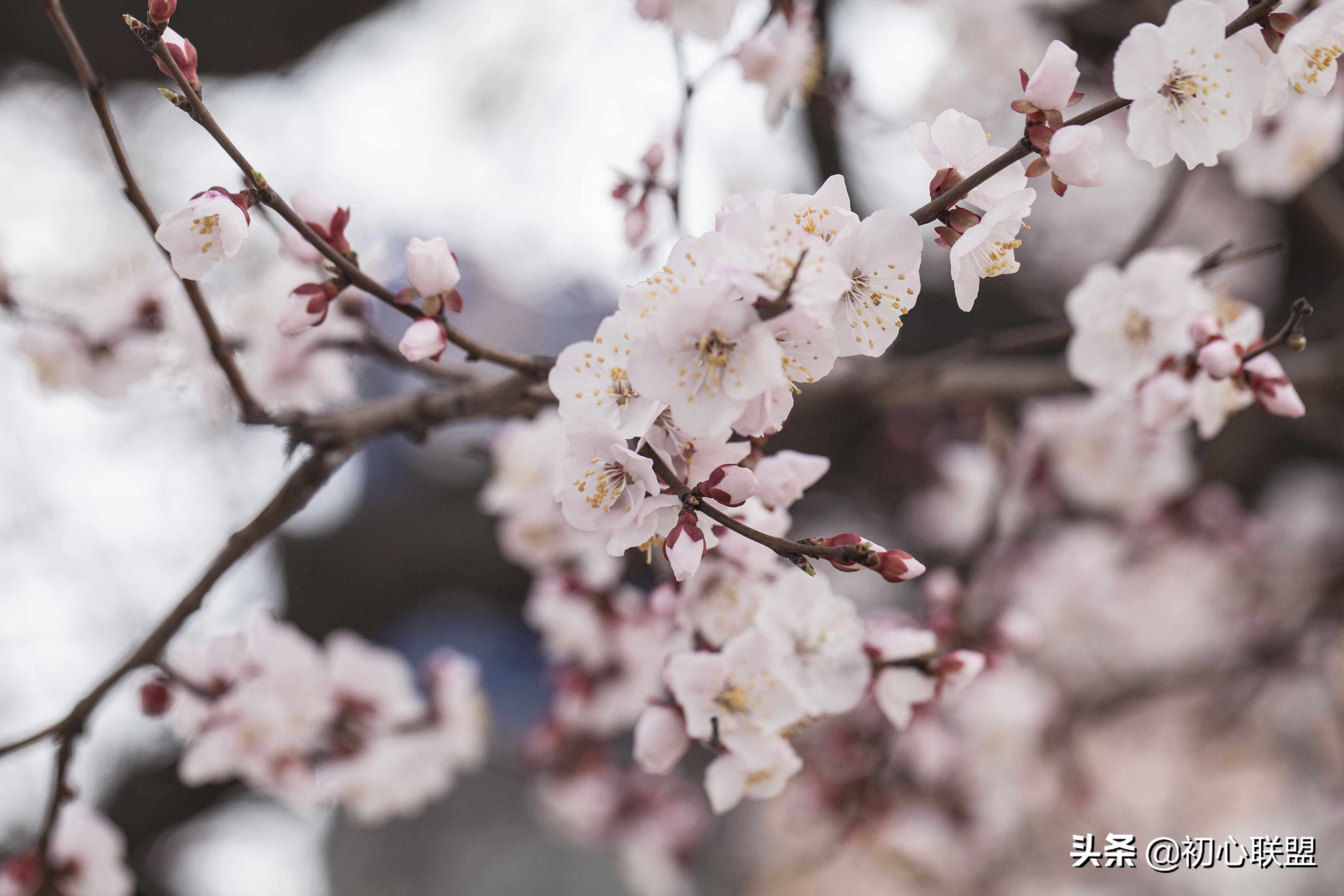 带你获得辽宁大学日语研究生入场券——全攻略（附真题回忆）
