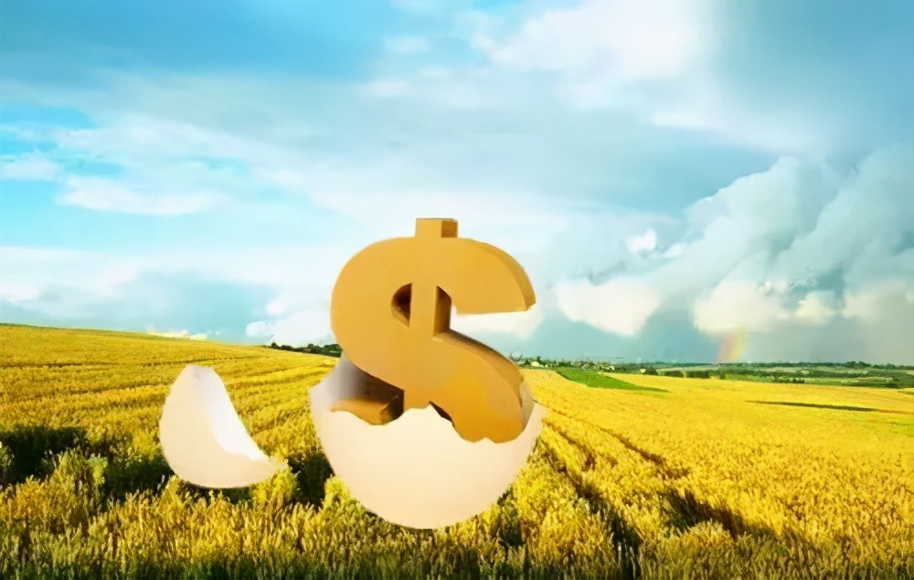 普惠金融浙江样本 | 惠到底便到家！衢州农行“e贷”矩阵助小微