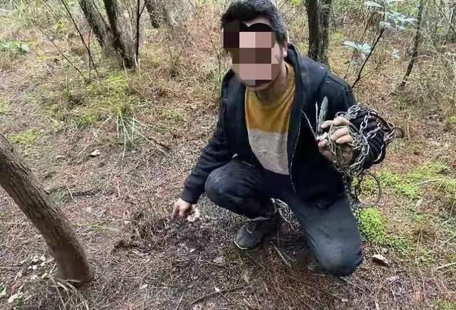 果子貍圖片,果子貍圖片大全大圖